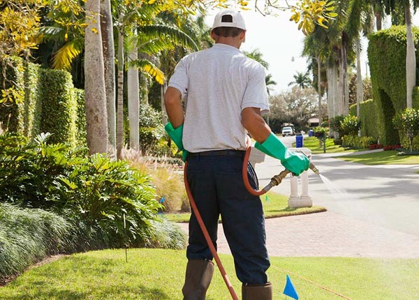 About California KY Pest Control